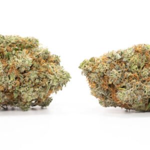 Grape Stomper Strain