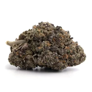 Purple Berry Skunk Strain