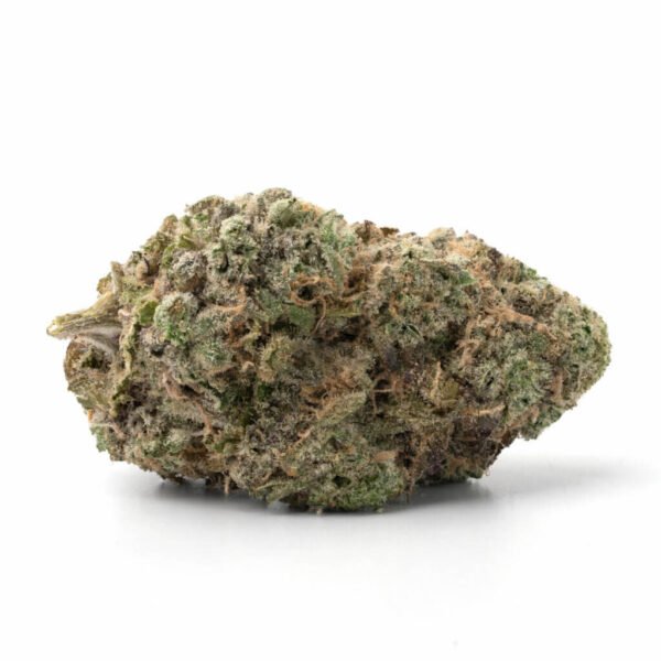 Bacio Gelato Strain