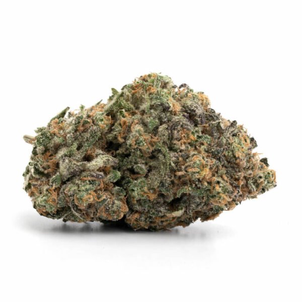 Big Buddha Cheese Strain