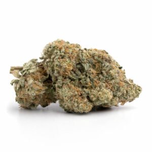 Blueberry Pancakes Strain