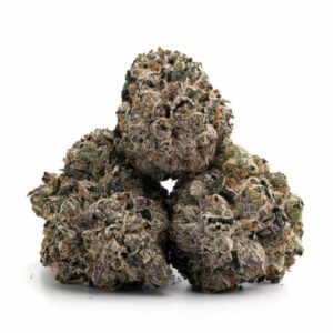 Gastro Pop Strain