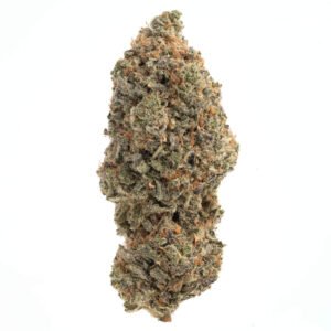 Rainbow Sherbert