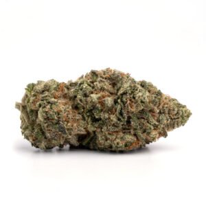 Snow Bunny Strain