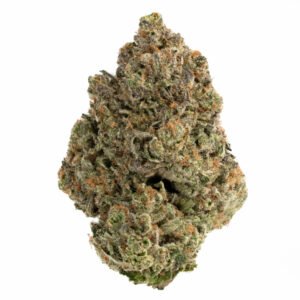 White Death Strain
