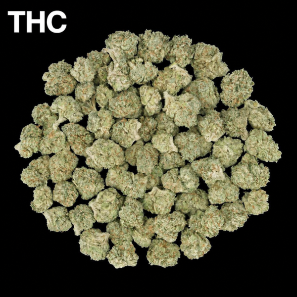 Ice Cream Runtz THCA Flower